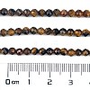 Natural Tiger Eye Beads Strands G-C127-A06-06-4