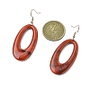 Acrylic Dangle Earrings EJEW-JE06295-3