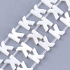 Natural Freshwater Shell Beads SHEL-T012-59K-1