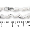 Natural Howlite Beads Strands G-P497-01C-64-5