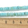 Dyed Natural Freshwater Shell Beads Strands BSHE-G039-07C-4