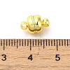 Rack Plating Brass Magnetic Clasps KK-D100-13G-3