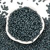 Baking Paint Glass Seed Beads SEED-L011-09A-23-2