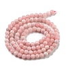 Natural Rhodonite Beads Strands G-G140-A20-03-3