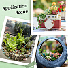 PVC Artificial Succulent Plant AJEW-SP0004-35A-6