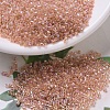 MIYUKI Delica Beads SEED-J020-DB0054-1