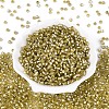 Silver Lined Glass Seed Beads SEED-T007-18A-05-2