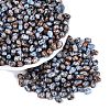 Picasso Glass Seed Beads SEED-N012-10N-1