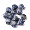 Natural Blue Spot Jasper Beads Strands G-P570-E19-02-3