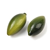Fruit Series Opaque Resin Beads RE-CBAC4C7-11F-2