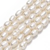 Natural Cultured Freshwater Pearl Beads Strands PEAR-J006-16A-01-1