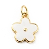 Rack Plating Brass Enamel Charms KK-G387-09G-01-1
