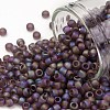 TOHO 8/0 Round Beads SEED-TR08-0166BF-1