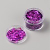 Nail Art Flash Powder and Sequins MRMJ-TAC0011-04G-2