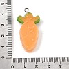 Transparent Resin Imitation Fruit & Vegetable Pendants RE-CBAB567-01-3
