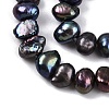 Natural Cultured Freshwater Pearl Beads Strands PEAR-L033-42D-01-4