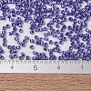 MIYUKI Delica Beads SEED-J020-DB1569-4
