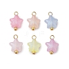 Luminous Acrylic Charms PALLOY-JF03320-01-1