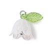 5Pcs Transparent Acrylic Pendants PALLOY-JF04703-02-2