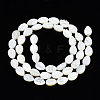 Natural Trochid Shell/Trochus Shell Beads Strands SSHEL-N034-135A-01-2