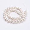 Wrinkle Textured Shell Pearl Beads Strands X-BSHE-F013-02-10mm-2