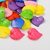 Opaque Acrylic Pendants SACR-R015-M-1