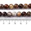 Natural Mexico Crazy Agate Beads Strands G-L615-A01-02-5