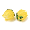 Handmade Lampwork Beads LAMP-F041-02C-3