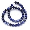 Round Natural Sodalite Beads Strands G-F222-39-10mm-3