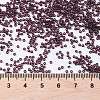 MIYUKI Round Rocailles Beads SEED-G009-RR2402-4