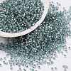 Cylinder Seed Beads SEED-H001-G08-1