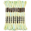 10 Skeins 6-Ply Polyester Embroidery Floss OCOR-CY0004-38I-1