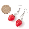 Resin Dangle Earrings EJEW-JE05903-01-3