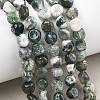 Natural Tree Agate Beads Strands G-D362-A02-1