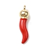 Opaque Resin Pendants RESI-V004-01B-1