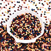 Opaque Colours Glass Seed Beads SEED-N007-19D-2