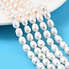 Natural Cultured Freshwater Pearl Beads Strands PEAR-I007-01D-06A-02-1
