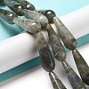 Natural Labradorite Beads Strands G-P528-H04-01-2