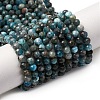 Natural Apatite Beads Strands X-G-A276-C08-4mm-01-2