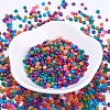 8/0 Baking Paint Glass Seed Beads X-SEED-S002-KM-3