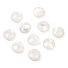 Natural White Shell Beads SSHEL-B006-03-1