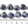 Natural Blue Spot Jasper Beads Strands G-P570-E19-02-5
