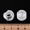 Transparent Acrylic and Glitter Powder Beads TACR-T028-66B-4