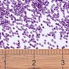 MIYUKI Delica Beads SEED-X0054-DB0431-4