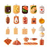 Craftdady 44Pcs 22 Style Resin Pendants RESI-CD0001-11-11