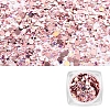 Nail Art Glitter Sequins AJEW-Q033-003K-1