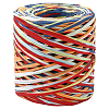 Segment Dyed Raffia Paper Cords for DIY Craft OCOR-WH20020-27H-7