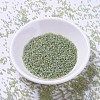 MIYUKI Delica Beads SEED-JP0008-DB2052-2