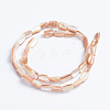 Natural Sea Shell Beads Strands SSHEL-L016-14-3