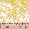 Glass Cylinder Beads SEED-S047-L-002-4